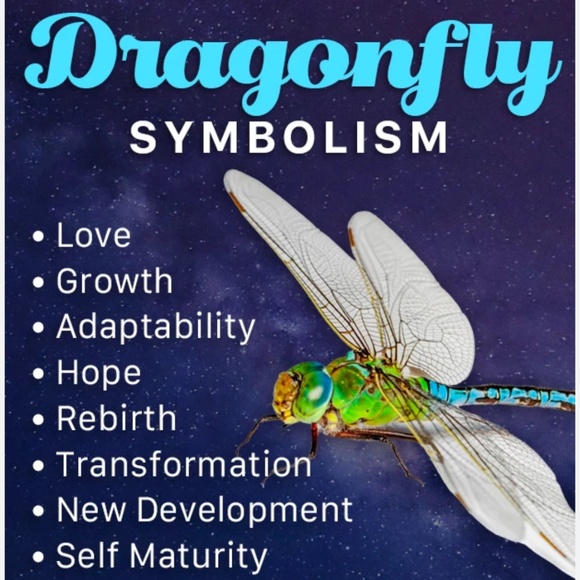 Brass dragonfly - Picture 5 of 8